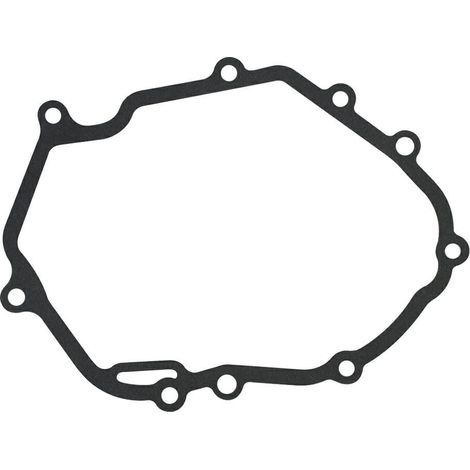 LONCIN Guarnizione flangia 1P61, 1P65 560127