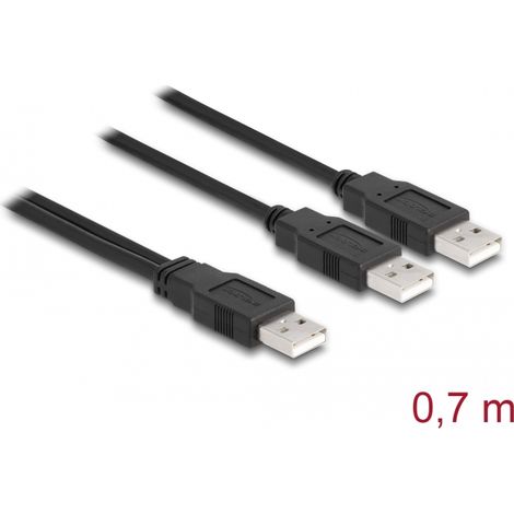 Delock Cable USB 2.0 Tipo-A a 2 x Tipo-A 70 cm