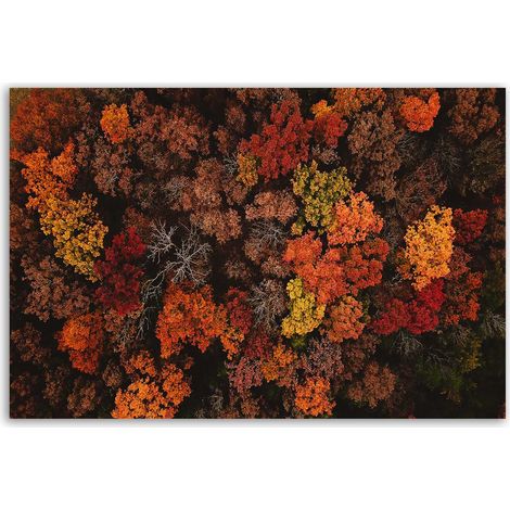 Tableau feuillage d’automne vu du ciel (1/5)