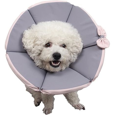 Collier pour animaux de compagnie fuselé respirant
