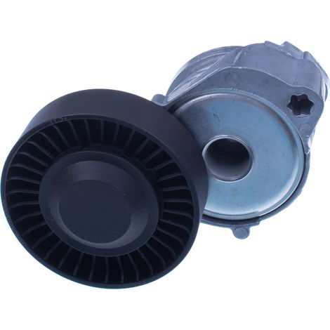 Tendicinghia P430001 Denckermann