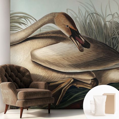 Tapete Vliestapete mit Kleber - modernes Design - Wohnungsdeko - geruchslos - langlebig Natürlicher Vogel 250x250 cm