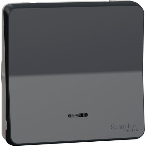 Schneider MUR35025 Interruttore a doppio comando con indicatore LED e connessione automatica IP55 IK08 (1/2)