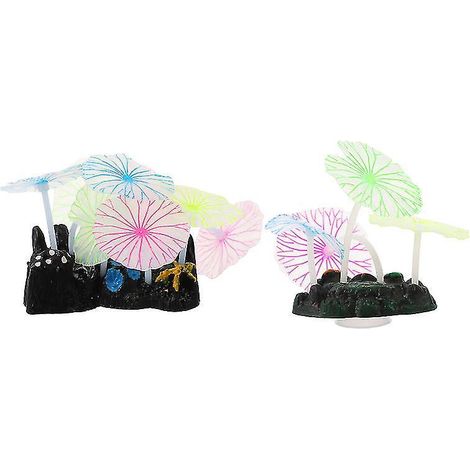 2 plantes aquatiques pour aquarium (1/3)