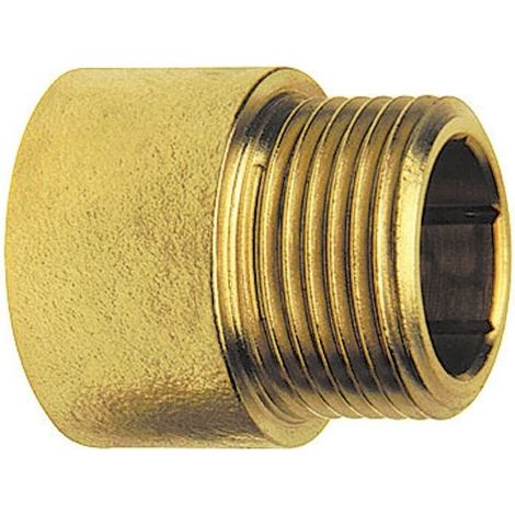 Rallonge 3/4" L-20 LAITON