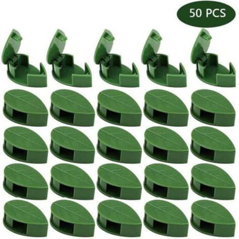 Lot de 50 supports de plantes auto-adhésifs Clip de connecteur de plantes plantes grimpantes fixation murale clips de plantes pour supports de plantation (1/5)