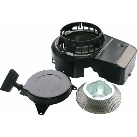 BRIGGS & STRATTON Rasenmähermotor START 499916