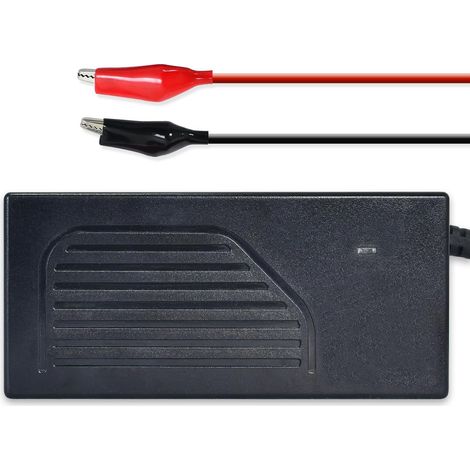Chargeur de Batterie au Lithium Automatique Intelligent 4A 12V, spécialement conçu pour Les Batteries LiFePO4 12,8V (1/5)