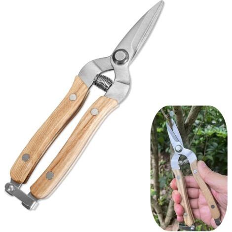 Sécateur de jardin professionnel Sécateur pour plantes Sécateur de jardin en acier inoxydable Ciseaux avec poignées en bois pour arranger, tailler les plantes, cueillir les fruits et les légumes (1/5)