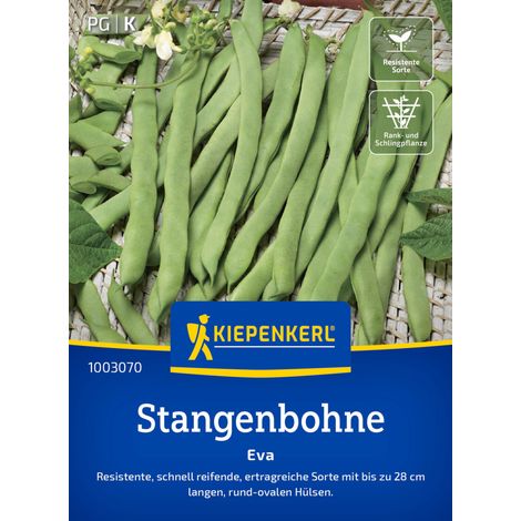 Kiepenkerl Saatgut Stangenbohnen Eva für ca. 15 Stangen (1/2)
