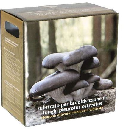 Substrato Coltivazione Funghi Ostreatus - Ideale per Interni (1/2)