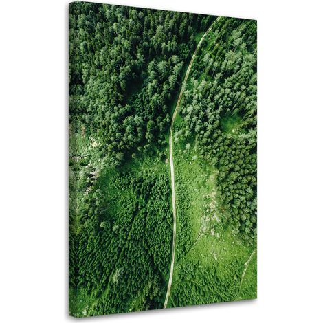 Tableau sur toile Chemin dans une forêt verte 60x90 (1/5)