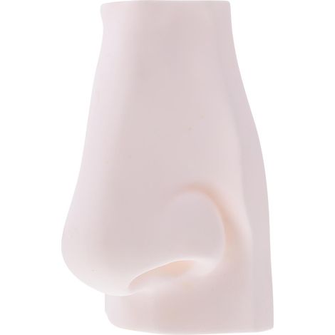 Croquis d'un modèle d'organe sensoriel, idéal pour la décoration de salles de classe, 1 pièce, blanc (1/5)