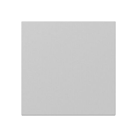 Gira Wippe 3496015 gerade Sys.55 gr m
