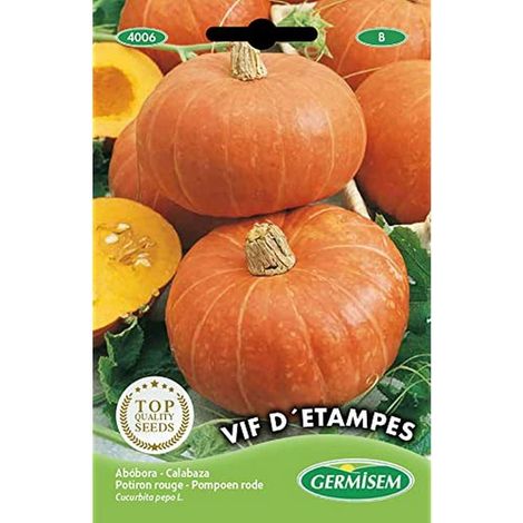 graines Potiron rouge VIF D´ETAMPES (1/2)