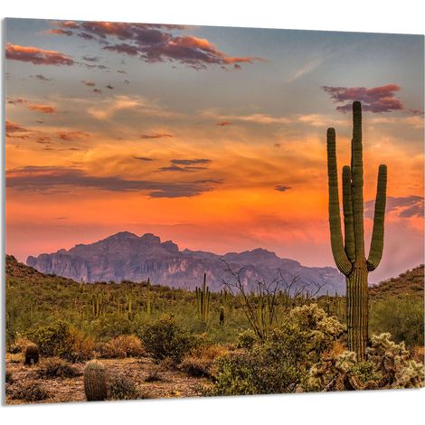 PANEL DE VIDRIO PARA COCINA 65x60 Montañas (1/5)