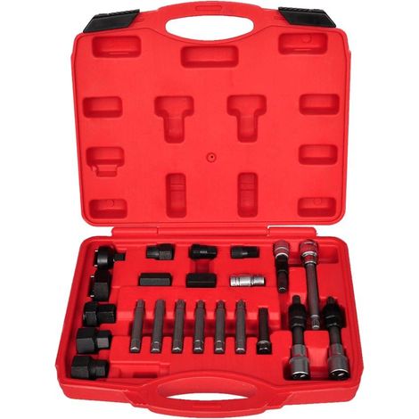 Set estrattore albero libero alternatore 22 pezzi 020004138
