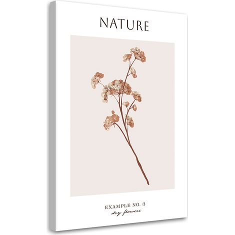 Tableau sur toile Fleur sèche - Nature 60x90 (1/5)
