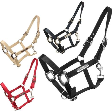 Pony, BLU: Cavezza per cavalli in nylon rinforzato dalla finitura leggermente lucida modello Scarlet