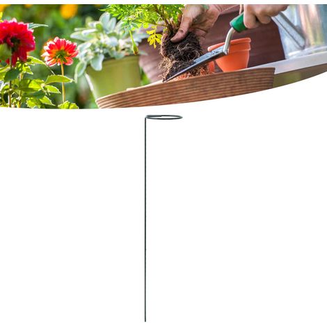 Set mit 12 Pflanzenstützen aus Eisen für den Garten (1/5)