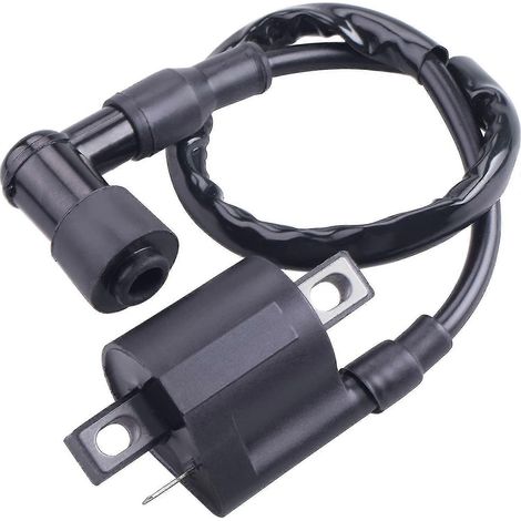 Zündspule kompatibel mit Yamaha PW 50 PW50 1981-2009 PW 80 PW80 1981-2009 (1/5)