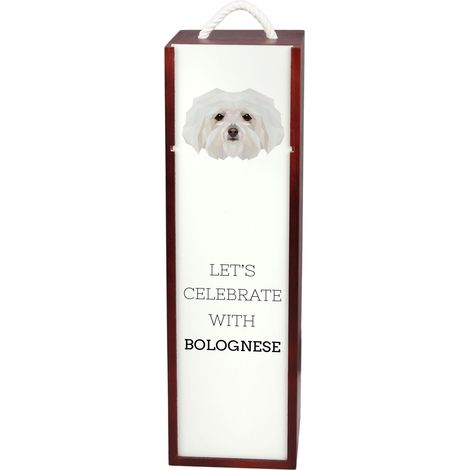 Bolognese: una caja de vino geométrica con foto e inscripción de Art-Dog. (1/5)