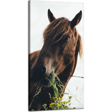 Impression sur toile Animaux Tête de cheval 40x80 cm Écurie