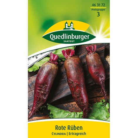 Quedlinburger Saatgut – Betterave rouge Cylindra – Graines de légumes, variété cylindrique mi-longue, pour env. 10 mètres linéaires (1/2)