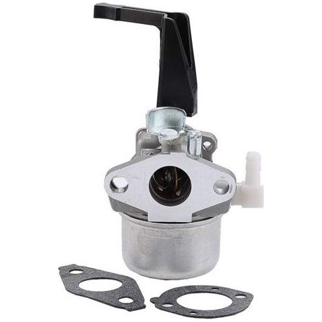 Carburateur 696065 compatible avec Briggs & Stratton 696065 697422 110402-0206-E1-TREETALK (1/5)
