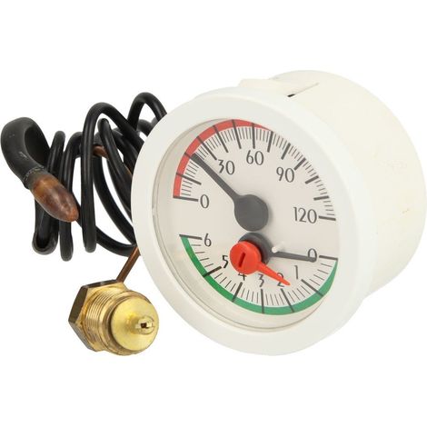 Thermomanomètre avec sonde à distance blanche