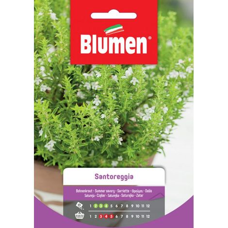 Blumen Semi di Santoreggia