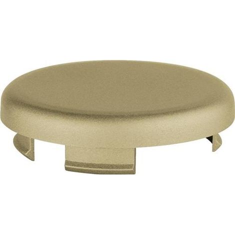 Abdeckkappe 45652 für Relexa Wandbrausehalter edelmessing matt