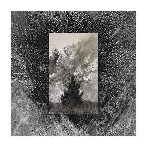 Cuadro de arte decorativo Noname monocromo cuadrado panel central rectangular textura grano negro gris blanco