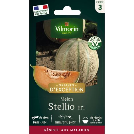 Melon Stellio HF1 - Graines d'Exception Vilmorin (1/2)