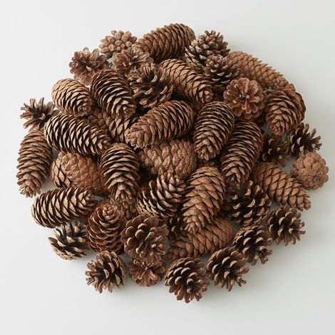 Lot de 100 pommes de pin naturelles pour décoration de sapin de Noël, décoration de table et artisanat (1/5)