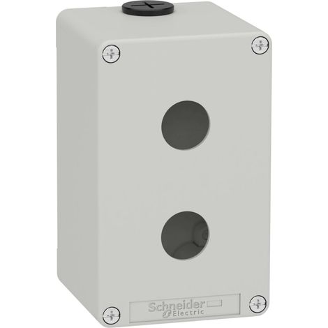 Boîte vide grise SCHNEIDER à 2 trous, fabriquée dans un matériau durable et de conception compacte.