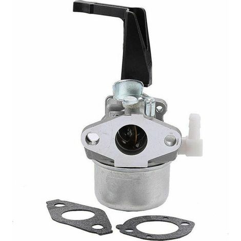 Briggs & Stratton 696065 697422 Vergaser für Kettensäge 110402-0206-E1