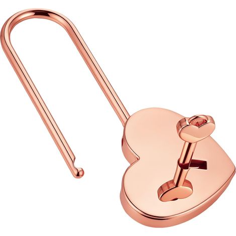 Petit Cadenas avec Clé Cœur en Alliage de Zinc pour Carnet et (1/5)