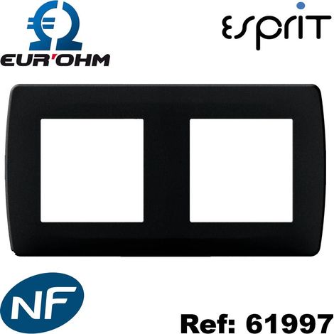 Plaque de finition 2 postes - Entraxe 71mm - Blanche - ESPRIT Couleur Anthracite
