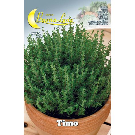 SEMI ORTO TIMO- HORTUS SEMENTI- 10,0 pz