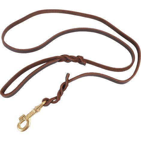 GARRYFIZH Laisse chien en simili-cuir - Douce et confortable, avec mousqueton - Pour jeux et promenades extérieures (1/5)