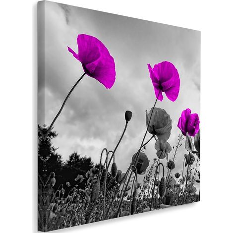 Cadre déco Fleurs de coquelicots lilas 60x60 (1/5)