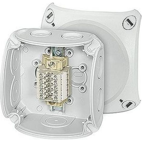 HENSEL REIHENKLEMMENKASTEN RK 0205 T 5 KLEMMEN 2,5QMM ENYCASE DOSE, GEHÄUSE FÜR MONTAGE AUF DER WAND/DECKE 4012591125631 (1/2)