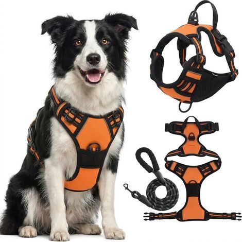 Harnais Chien Arnais Orange Anti Traction Réfléchissant Gilet Réglable pour Chien Taille M Attache Devant Crochet de Laisse (1.5M) (1/5)