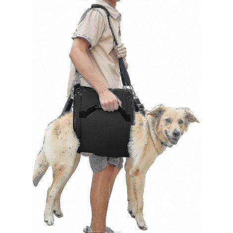 Hundetragegeschirr, Stützgurt für genesende Tiere, hilft bei der Rehabilitation der Hinterbeine und beim Krallenschneiden, schwarz oder blau (1/5)
