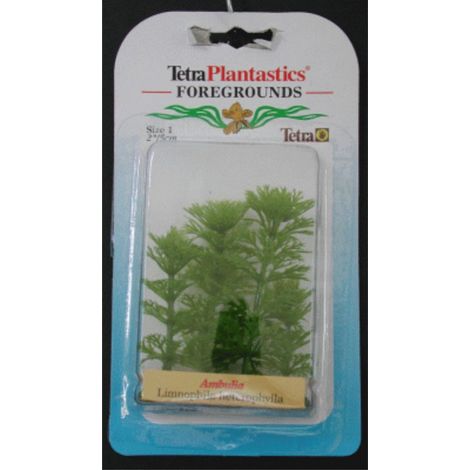 PLANTA AMBULIA FOREGROUND 5 CM.