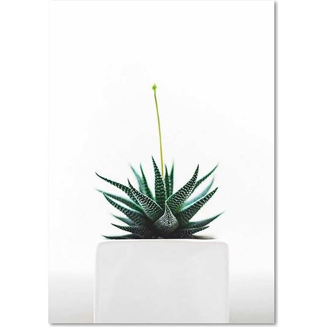 Tableau plante - 40 x 50 cm (1/4)