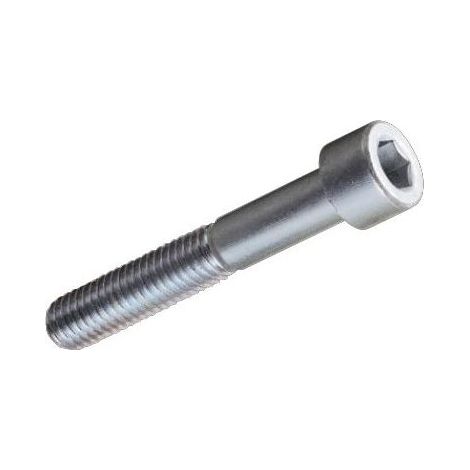 Viti per Metallo TC Testa Cilindrica Esagono Incassato10x50 mm Zincate 100 pz (1/2)