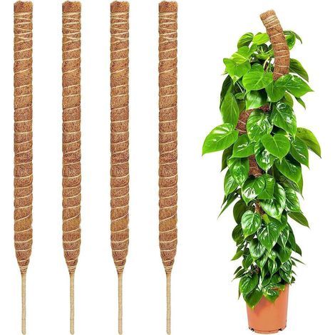 Schaumstoff-Pflanzenstützen für Monstera-Pflanzen – Set mit 2 flexiblen 71 cm Pflanzenstützen für Monstera-Pflanzen, Zimmerpflanzenstäbe, Stützen für Kletterpflanzen. (1/5)