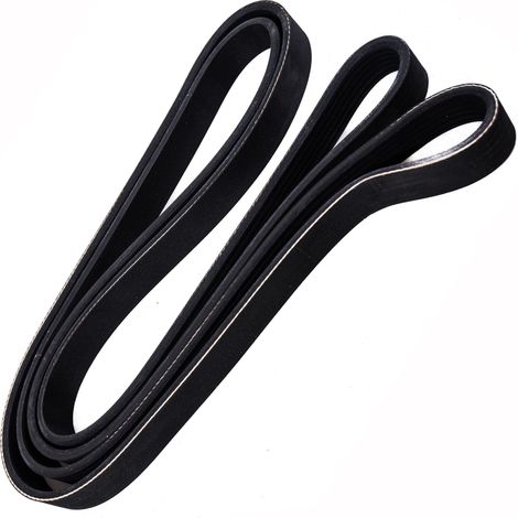 CINGHIA POLARE PK 6PK2195 (1/2)